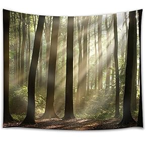 Sun Rays Peeking Through The Forest with Bushes - Fabric Tapestry, Home Decor - 51x60 inches