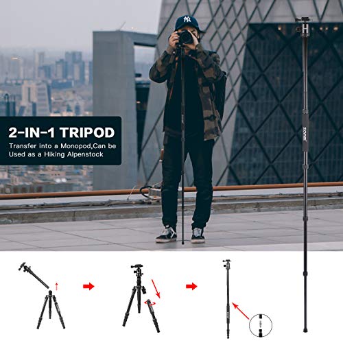 ZOMEI Tripod,Camera Tripod,Lightweight Camera Travel Z818 Tripod Aluminium Alloy Monopod with 360 Panorama Ball Head Quick Release Plate Ball for DSLR Canon Sony Nikon Cameras(Black)