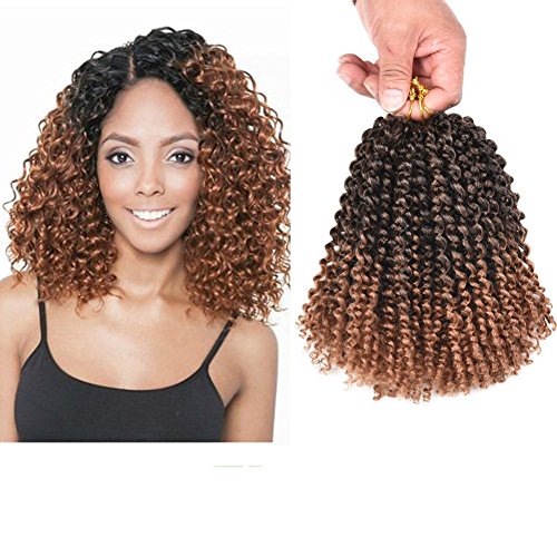 Refiend Marlibob Kinky Curly Crochet Hair Marly Braid Ombre