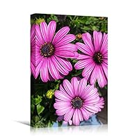 Canvas Wall Art Pink Daisy Colorful Farmhouse/Country Floral Multicolor Patterns Photography - 12x18 inches