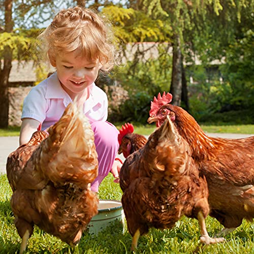 Ida Plus - MitePowder â Natürlich gegen die Rote Vogelmilbe â Effektiver als Kieselgur oder Kieselerde â für Hühner, Wachteln & anderes Geflügel - OHNE CHEMIE - 25 Liter – Bild 7