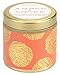 Paddywax Candles Kaleidoscope Collection Travel Tin Candle, Amber & Smoke, 3 OZ, 3 Ounce