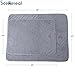 SCENEREAL Microfiber Dog Absorbent Bath Towels 2 Pcs/Set Grooming House Bathroom Quick Drying Towel Best for Small to Large Dogs Cats Pets Size 24