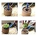 14 Pieces Mini Garden Tools Set，Succulent Transplanting Hand Tool Set include Shovel Rake Spade for Indoor Plant Care Gardening Lovers' Christmas Gift