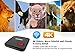 [2017] ANTSIR Android 6.0 TV Box A1 Amlogic S905X Quad core Cortex A53 2.0GHz 64bit 1G / 8G 4K Google Smart Media Player WiFi- HDMI