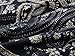 Veranee Women's Plus Size Swing Tunic Top Short Sleeve Floral Flare T-Shirt (XXX-Large, 56-6)