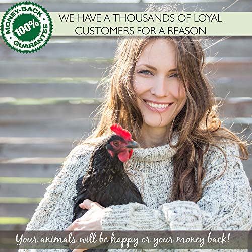 3 PICKY+NEB+Non+GMO+Dried+Mealworms