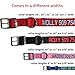 GoTags Custom Embroidered Dog Collar with Metal Buckle, Personalized Dog Collar with Pet Name and Phone Number, 10 Collar Sizes for Puppy and Dogs Extra Small, Small, Medium or Largethumb 3