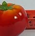 Viabella 6pc Artificial Red Tomato Large 3.5-Inch - Plastic Decorative Tomatoes Vegetable Fruit - Six Pieces