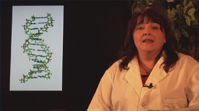 Watch What Are the Four Nitrogenous Bases of DNA? on Amazon Live
