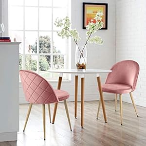 DeirCase Esszimmerstühle Schminkstuhl Wohnzimmerstühle Küchenstühle