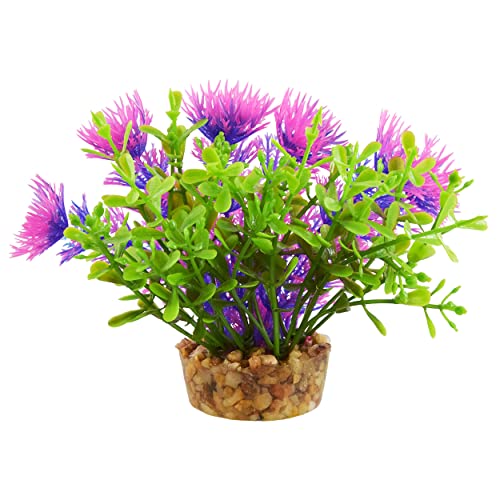 Underwater Treasures Bacomba - Purple - 4"