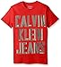 Calvin Klein Big Boys' Slogan Crew Neck Short Sleeve, Fireside, Large