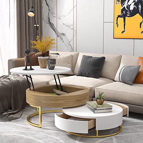 homary Round Coffee Table White with Storage LiftTop Wood Coffee Table