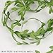 ElaDeco 216 Ft Artificial Vines Garland Leaf Ribbon Greenery Foliage Rattan Greek Wild Jungle Decorative Accessory Wedding Party Garden Craft Wall Decoration
