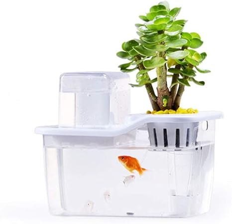 Amazon Co Jp アクリル水槽魚と野菜の共生怠惰な水槽クリエイティブデスクトップ水槽小さなスーパーホワイトの生態学的な水槽水タンクを交換する必要はありません ホーム キッチン