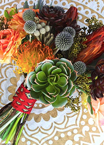 Afloral Natural Dried Flower Protea Repens Pods in Red Orange - 6 per Bunch