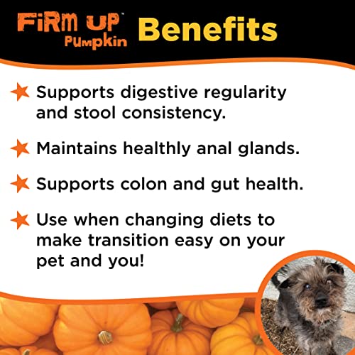 Diggin' Your Dog Firm Up Pumpkin for Dogs & Cats, 100% Made in USA, Pumpkin Powder for Dogs, Digestive Support, Apple Pectin, Fiber, Healthy Stool, 4 oz (2-Pack)