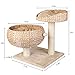 Pedy Cat Tree with Scratching Post, Sisal-Covered Climbing Cat Tower, Cat Activity Tree with Paper Rope and Cat Tree House with Perch, 2 Story Cat Condo Great for Kitten