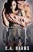 Chaos (Phoenix Undercover Book 2)