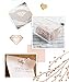 MultiBey Rose Gold Thumbtacks Creative Lucency Push Pins for Memo Board or Cork Board, Box of 100pcs