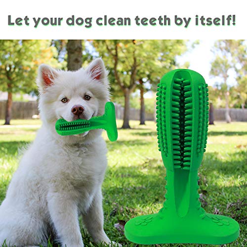 BAMOMBY Dog Toothbrush Stick Brushing Stick - Dog Toothbrush Dog Tooth Brush Brushing Stick for Dogs Pets Oral Care (Green)