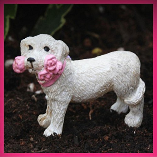 Fairy Garden Fun Cricket The Garden Puppy Dog Dollhouse Mini - My Mini Fairy Garden Dollhouse Accessories for Outdoor or House Decor