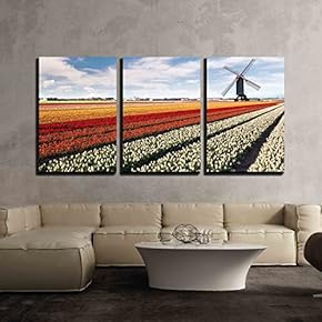 3 Piece Canvas Wall Art - Windmill on Field of Tulips in Netherlands - Modern Home Art Stretched and Framed Ready to Hang - 16"x24"x3 Panels