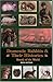 Domestic Rabbits & Their Histories: Breeds of the World by 