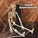3PCs Halloween Skeleton 16 inch with Movable Joints for Halloween Party Favors，Halloween Decorations