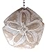 MTI Coastal Beach Sand Dollar Whitewashed Carved Wood Ceiling Fan Pull