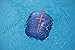 Ultimate Ears WONDERBOOM Portable Waterproof Bluetooth Speaker - Deep Blue