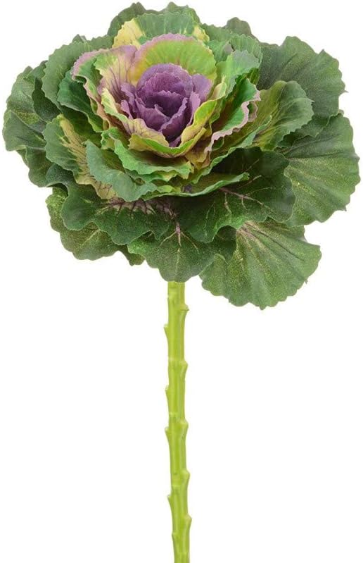 Amazon Marjon 花 人工 真鍮 オーナメント キャベツ ステム グリーン パープル 花 観葉植物 フラワーギフト オンライン通販