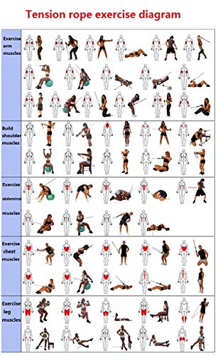 Resistance Band Set 11pcs ,Workout Bands Include 5 Exercise Bands, Door Anchor, Foam Handles, Carrying Bag for Resistance Training , Physical Therapy, Home Workouts-Stackable Up to 100lbs