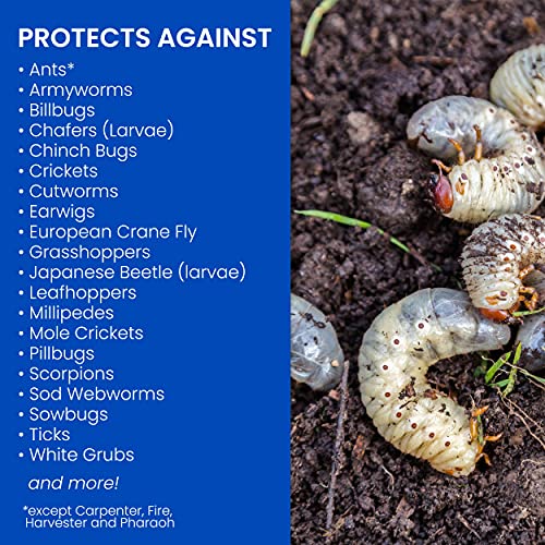 BioAdvanced 24 Hour Grub Killer Plus, Granules, 10 lb Pricepulse