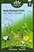 Rocky Mountain Plants: Family Field Guide Series, Volume 2 by Garrick Pfaffman, Hilary Forsyth