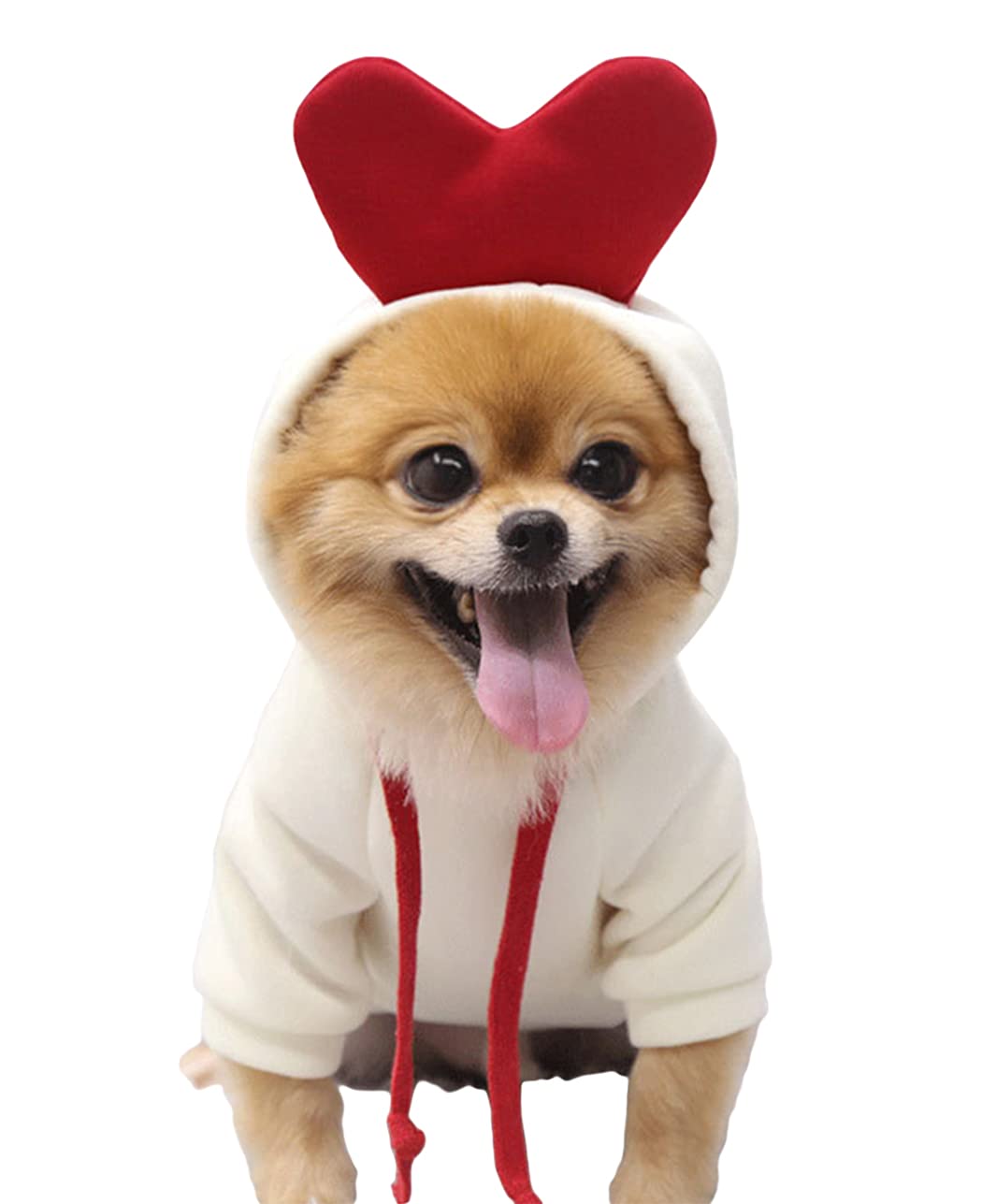 XIAOYU Puppy Dog Hoodie Cats Hoodies Pet Clothes Stylish Fruit Sweatershirt for Dog Cat Small Medium Pets, Love, L
