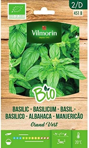 VILMORIN SEMILLAS ALBAHACA GRAND VERT BIO ECOLÓGICA: Amazon.es: Jardín