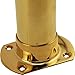 Cut Wall Flange - Polished Brass - 2