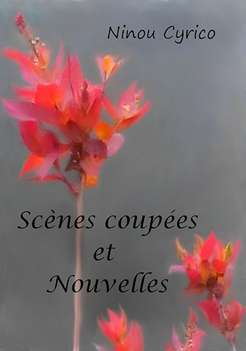 Download Scènes Coupées et Nouvelles PDF