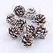 9pcs Christmas Pine Cones, Misaky Bauble Xmas Tree Party Hanging Decoration Ornament