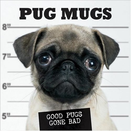 bad pug