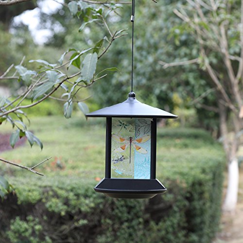 CEDAR HOME Hanging Solar Bird Feeder Outdoor Garden Decorative Water Proof Glass Pet BirdFeeder with Eave, Iridescent Dragonfly - Thumbnail 6