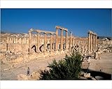 Photographic Print of The Cardo, the colonnaded street, Jerash, Jordan, Middle East