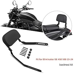 HRuizq Motorcycle Passenger Low Backrest Sissy Bar
