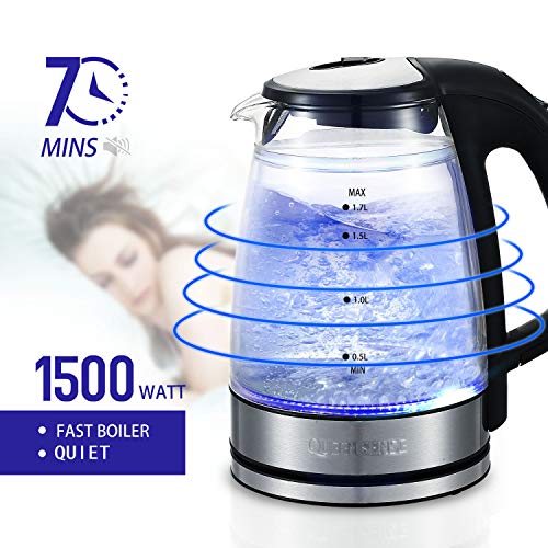 Electric Tea Kettle with Temperature control, Double Wall Glass 1.7L