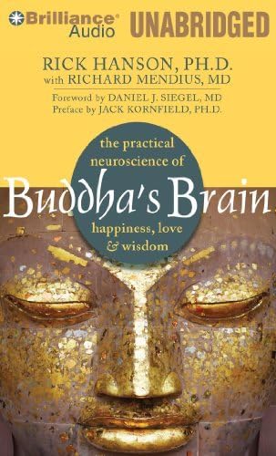 Buddha's Brain: The Practical Neuroscience of Happiness, Love & Wisdom by Rick Hanson (2010-11-15)