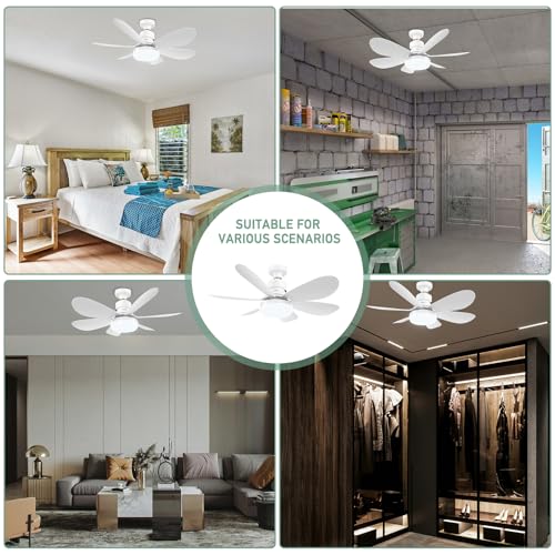 Zern Ventilador de techo con luz, 40W Pequeño Ventilador de Techo con Luz, E26/E27 Ventiladores de Techo con Control Remoto de Luces con rosca, 20.5in Ventilador LED Silencioso para Garage (Blanco)