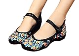 AvaCostume Women's Chinese Embroidery Casual Mary Jane Travel Walking Shoes Black 37
