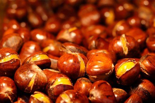Whole Raw Chestnuts 2 Pounds - Thumbnail 2